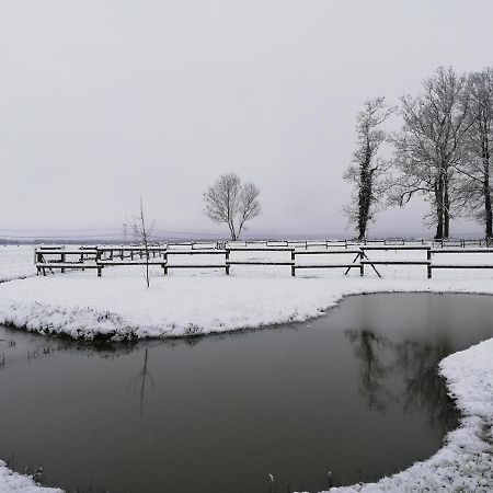 L'Ancyze Pensionat Le Torp-Mesnil Eksteriør billede